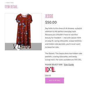 LuLaRoe Jessie Dress
